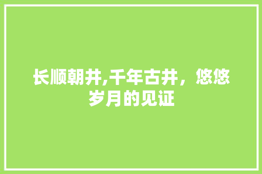 长顺朝井,千年古井，悠悠岁月的见证