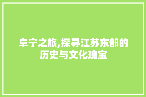 阜宁之旅,探寻江苏东部的历史与文化瑰宝