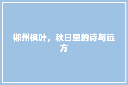 郴州枫叶，秋日里的诗与远方