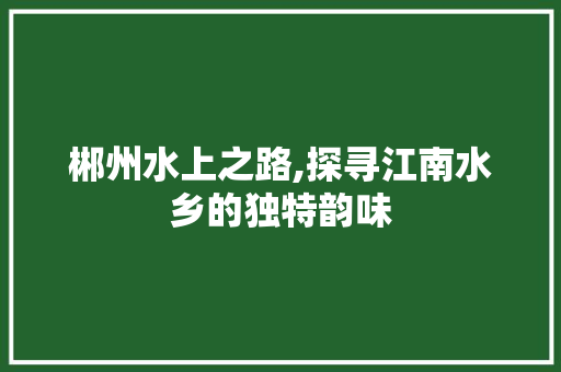 郴州水上之路,探寻江南水乡的独特韵味