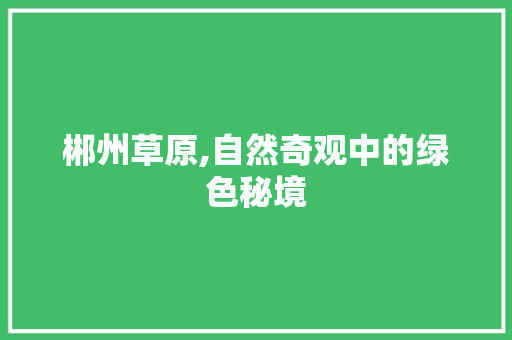 郴州草原,自然奇观中的绿色秘境