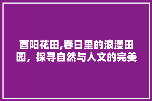 酉阳花田,春日里的浪漫田园，探寻自然与人文的完美融合