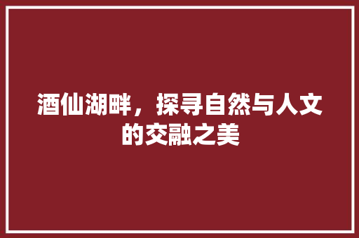 酒仙湖畔，探寻自然与人文的交融之美