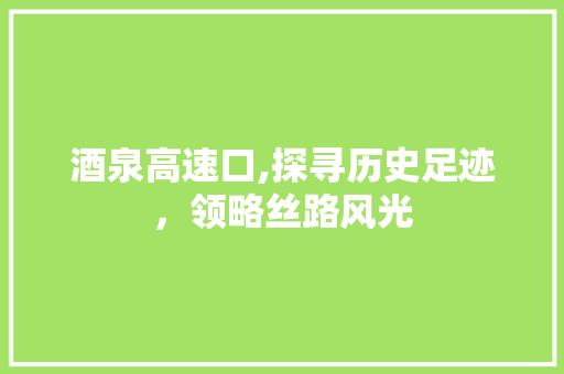 酒泉高速口,探寻历史足迹，领略丝路风光