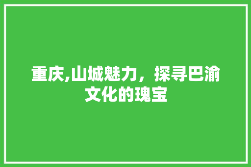 重庆,山城魅力，探寻巴渝文化的瑰宝