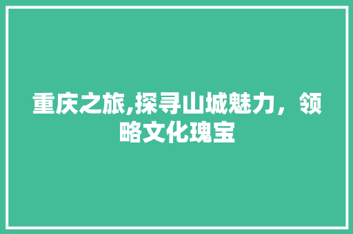 重庆之旅,探寻山城魅力，领略文化瑰宝