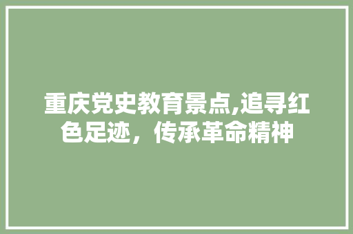 重庆党史教育景点,追寻红色足迹，传承革命精神