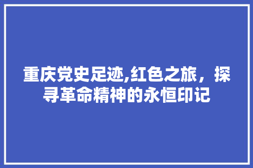 重庆党史足迹,红色之旅，探寻革命精神的永恒印记