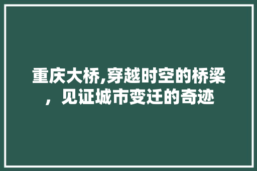 重庆大桥,穿越时空的桥梁，见证城市变迁的奇迹