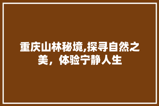 重庆山林秘境,探寻自然之美，体验宁静人生