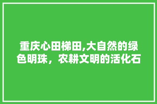 重庆心田梯田,大自然的绿色明珠，农耕文明的活化石