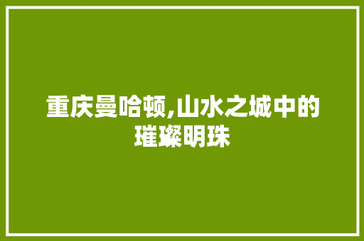 重庆曼哈顿,山水之城中的璀璨明珠