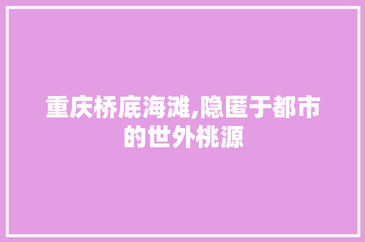 重庆桥底海滩,隐匿于都市的世外桃源