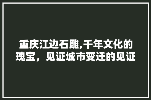 重庆江边石雕,千年文化的瑰宝，见证城市变迁的见证者