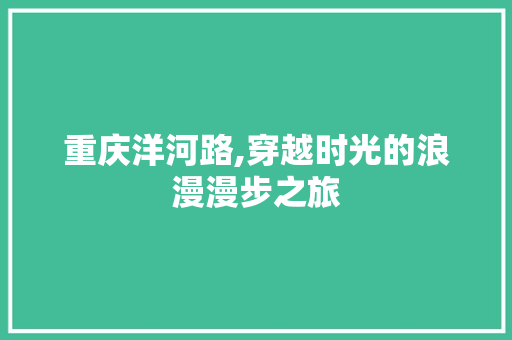 重庆洋河路,穿越时光的浪漫漫步之旅