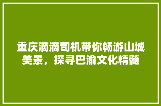 重庆滴滴司机带你畅游山城美景，探寻巴渝文化精髓