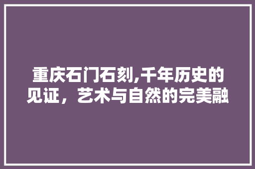 重庆石门石刻,千年历史的见证，艺术与自然的完美融合