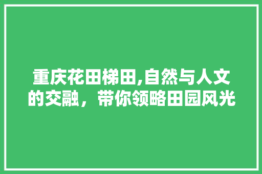 重庆花田梯田,自然与人文的交融，带你领略田园风光的极致魅力