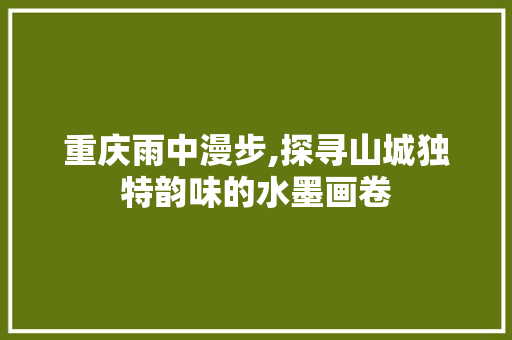 重庆雨中漫步,探寻山城独特韵味的水墨画卷