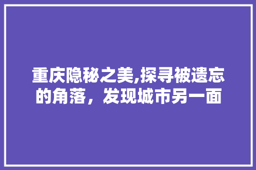 重庆隐秘之美,探寻被遗忘的角落，发现城市另一面