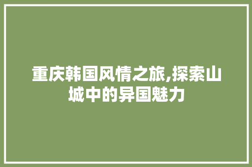 重庆韩国风情之旅,探索山城中的异国魅力