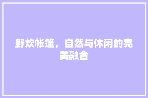 野炊帐篷，自然与休闲的完美融合