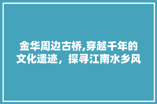 金华周边古桥,穿越千年的文化遗迹，探寻江南水乡风情