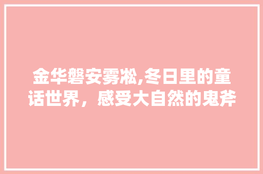 金华磐安雾凇,冬日里的童话世界，感受大自然的鬼斧神工