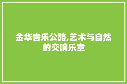 金华音乐公路,艺术与自然的交响乐章