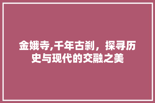 金娥寺,千年古刹，探寻历史与现代的交融之美