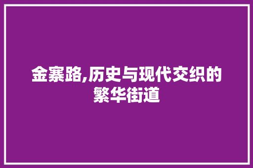 金寨路,历史与现代交织的繁华街道