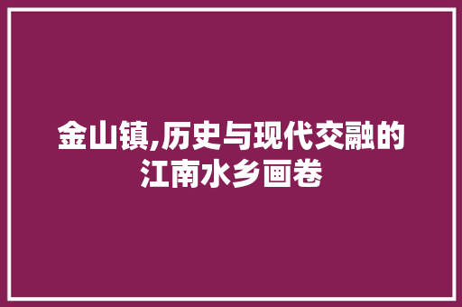 金山镇,历史与现代交融的江南水乡画卷