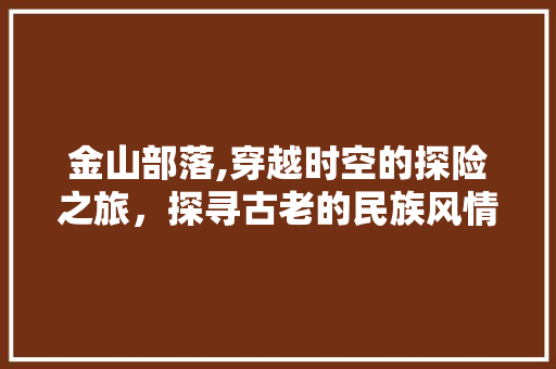 金山部落,穿越时空的探险之旅，探寻古老的民族风情