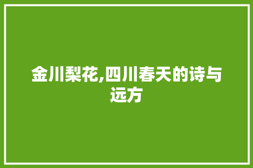 金川梨花,四川春天的诗与远方