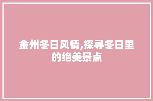 金州冬日风情,探寻冬日里的绝美景点