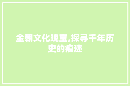 金朝文化瑰宝,探寻千年历史的痕迹