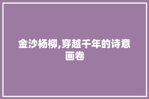 金沙杨柳,穿越千年的诗意画卷