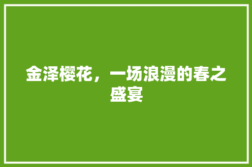 金泽樱花，一场浪漫的春之盛宴