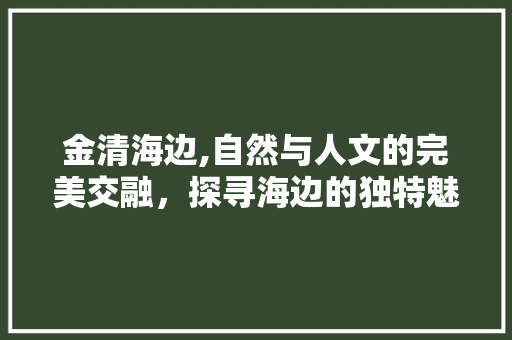 金清海边,自然与人文的完美交融，探寻海边的独特魅力