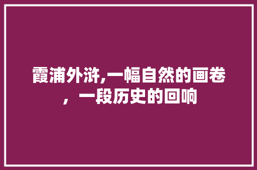 霞浦外浒,一幅自然的画卷，一段历史的回响