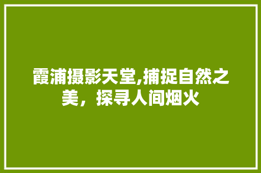 霞浦摄影天堂,捕捉自然之美，探寻人间烟火