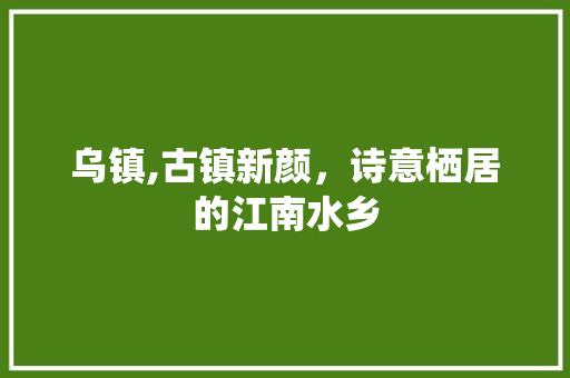 乌镇,古镇新颜，诗意栖居的江南水乡  第1张