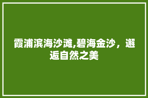 霞浦滨海沙滩,碧海金沙，邂逅自然之美