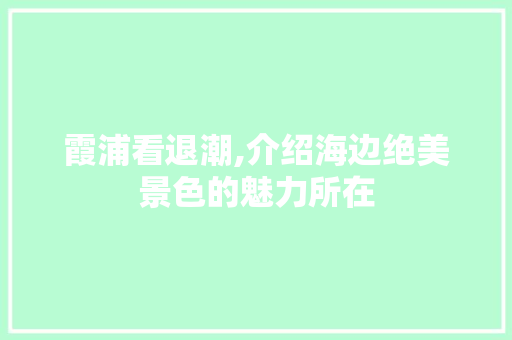 霞浦看退潮,介绍海边绝美景色的魅力所在