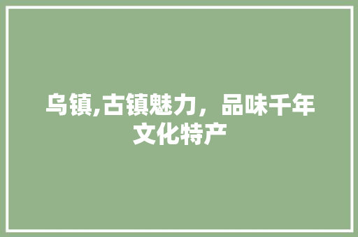 乌镇,古镇魅力，品味千年文化特产  第1张