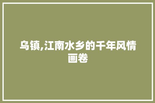 乌镇,江南水乡的千年风情画卷  第1张