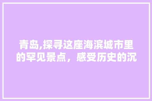 青岛,探寻这座海滨城市里的罕见景点，感受历史的沉淀与自然的魅力