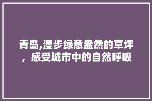 青岛,漫步绿意盎然的草坪，感受城市中的自然呼吸