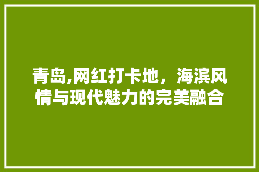 青岛,网红打卡地，海滨风情与现代魅力的完美融合