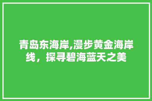 青岛东海岸,漫步黄金海岸线，探寻碧海蓝天之美